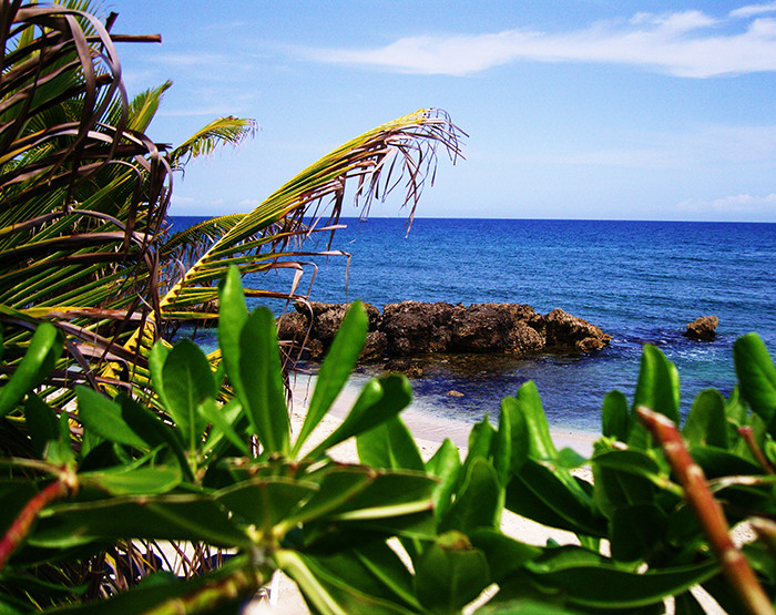 landscape photo Lucea Jamaica