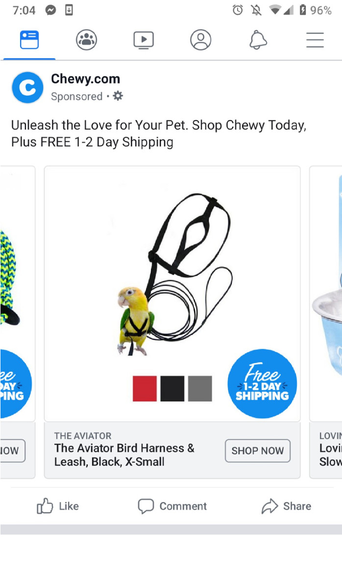 bird harness/leash ad