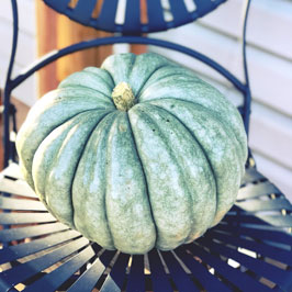 blue pumpkin