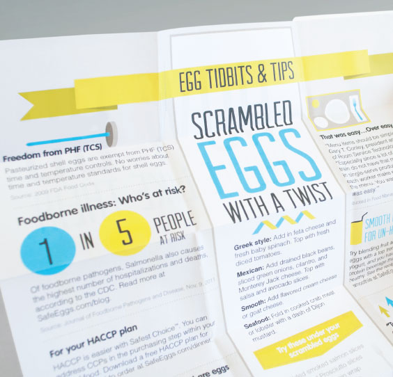 Egg Tips Brouchure Design